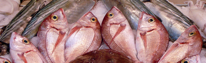 Huge seafood selection, Mercado de Ataranza Malaga Spain