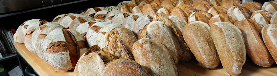 Fresh bread bakery, Malasaña