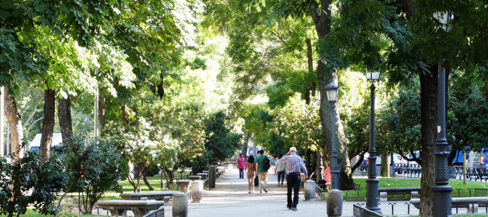 An afternoon walk in the Paseo del Arte, Madrid
